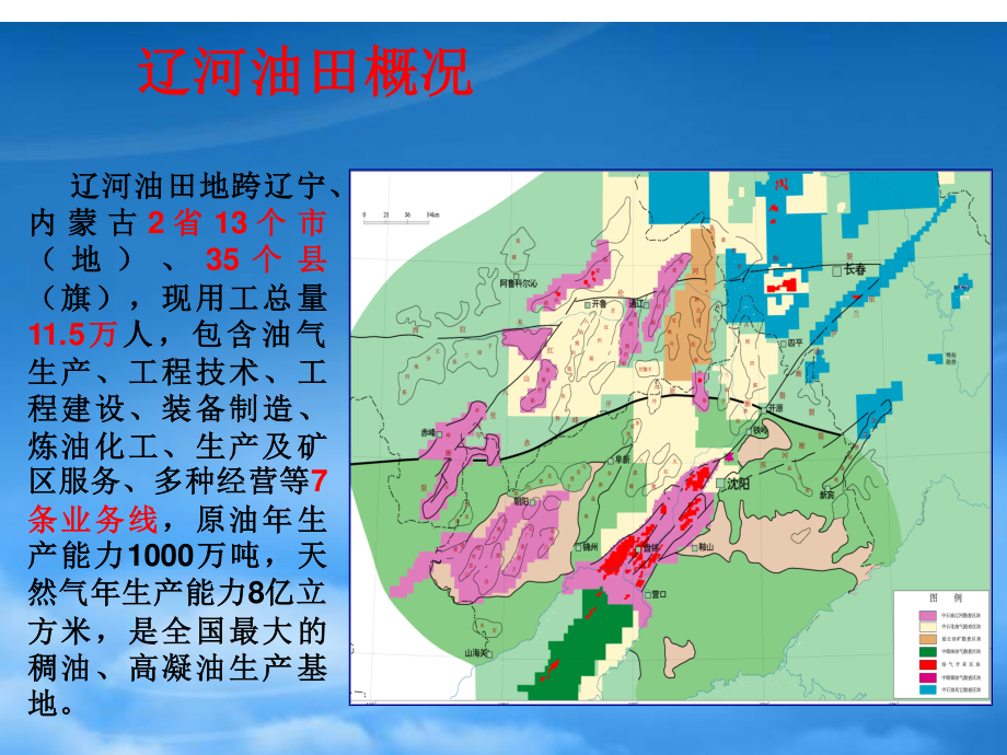 4-辽河油田ERP项目汇报.pptx_第3页