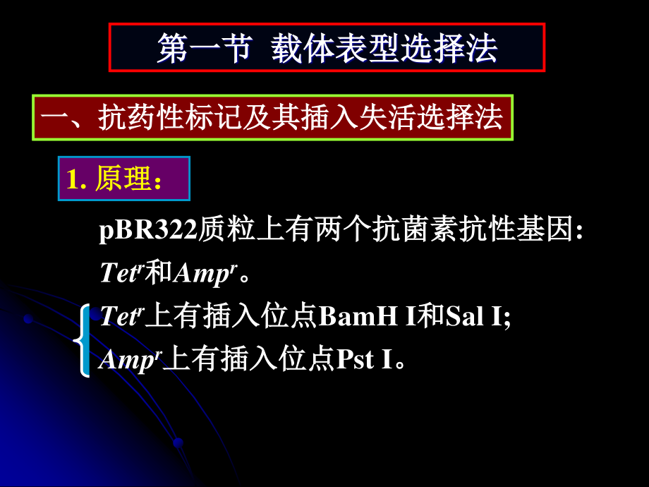 7重组体克隆的筛选和鉴定.pptx_第3页