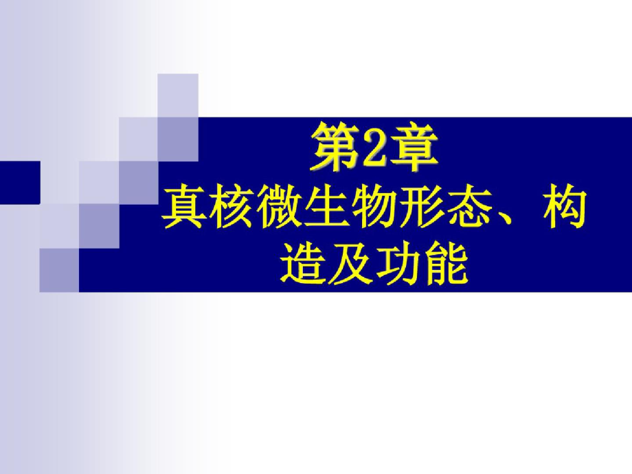 2真核微生物形态结构（完整）ppt[精选].pptx_第1页