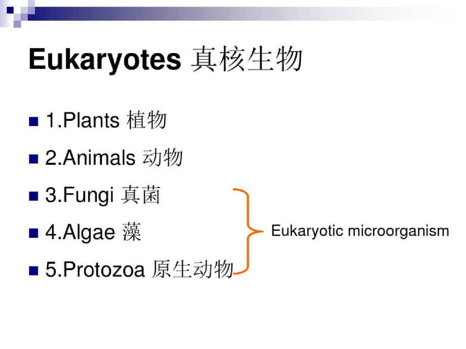 2真核微生物形态结构（完整）ppt[精选].pptx_第2页