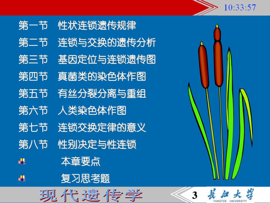 4连锁遗传定律和性连锁207.pptx_第3页