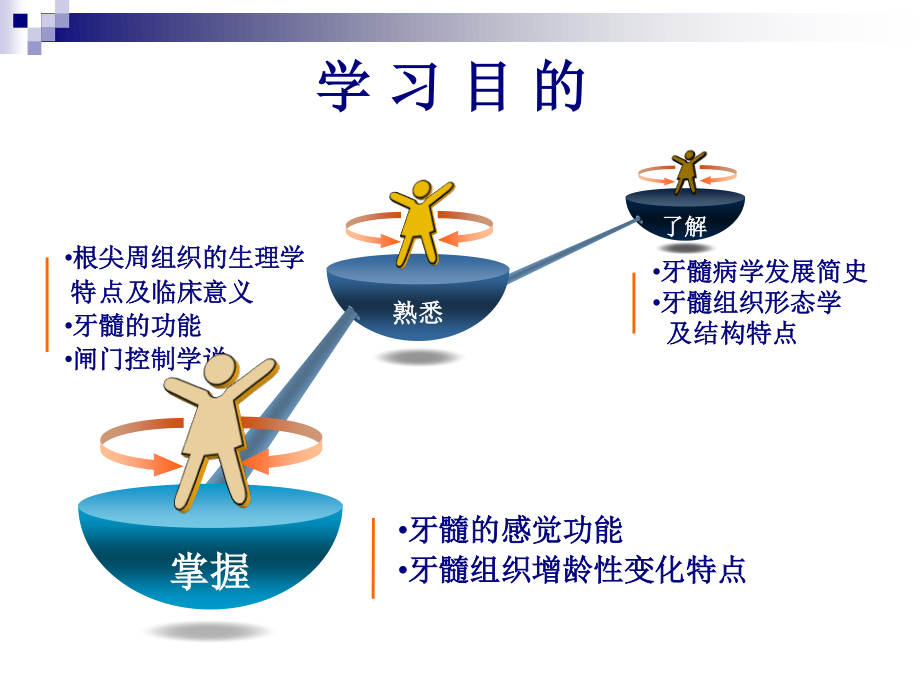 8牙髓及根尖周组织生理特点.pptx_第2页