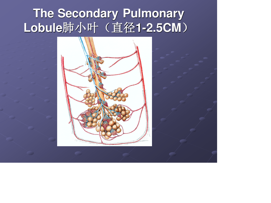 胸部常见CT征象认读..ppt_第2页