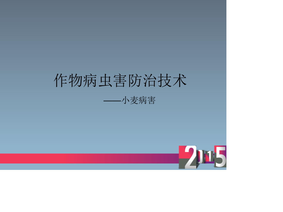 小麦病害.ppt_第1页