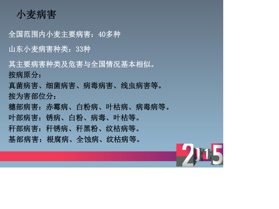 小麦病害.ppt_第3页