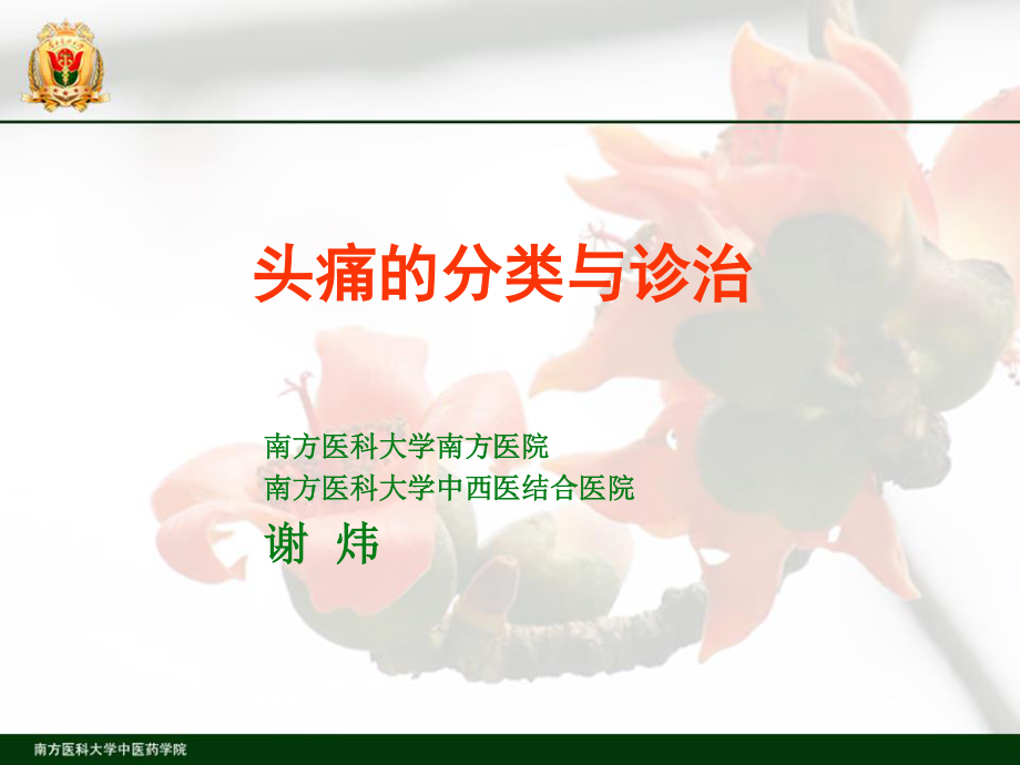 头痛的分类与诊治.ppt_第1页