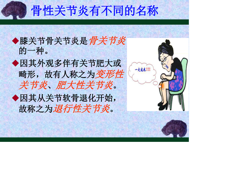 膝骨关节炎的防治..ppt_第3页