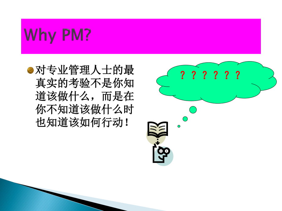 项目与项目管理.ppt_第2页