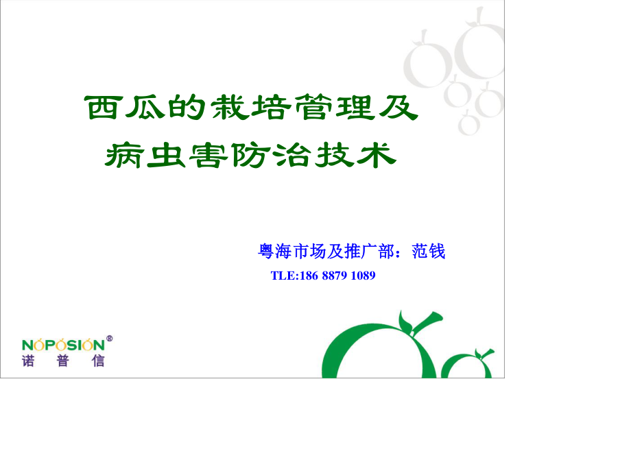 西瓜栽培及病虫害防治.ppt_第2页