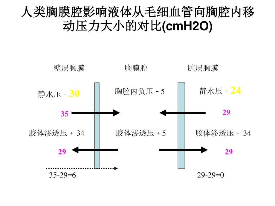 胸腔积液的评估-(Light标准还有用吗？).ppt_第3页