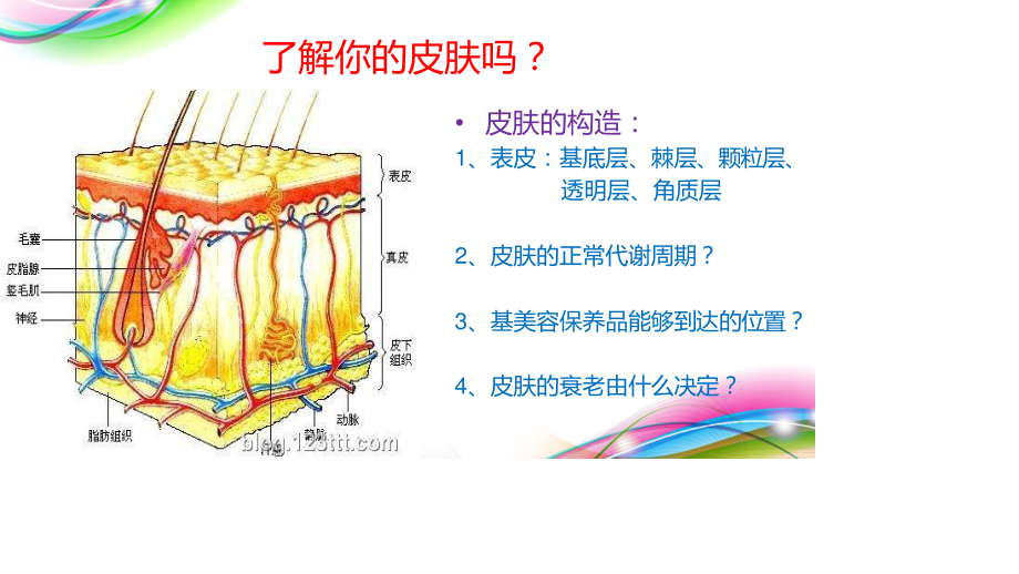 微针美疗16.ppt_第2页