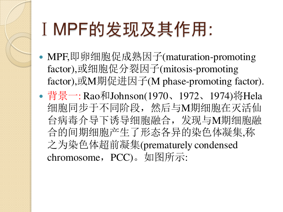 细胞周期调控(精).ppt_第2页