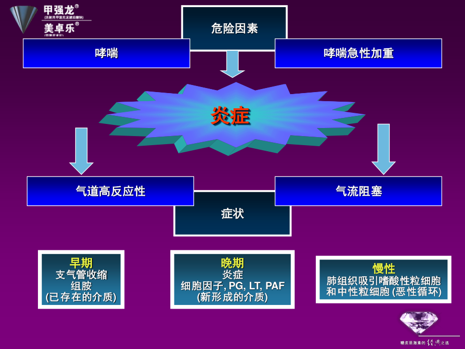 糖皮质激素在呼吸衰竭的应用.ppt_第3页