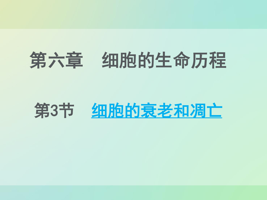 细胞的衰老和凋亡优质课.ppt_第2页