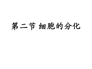 细胞分化、癌变、衰老、凋亡(终结版).ppt