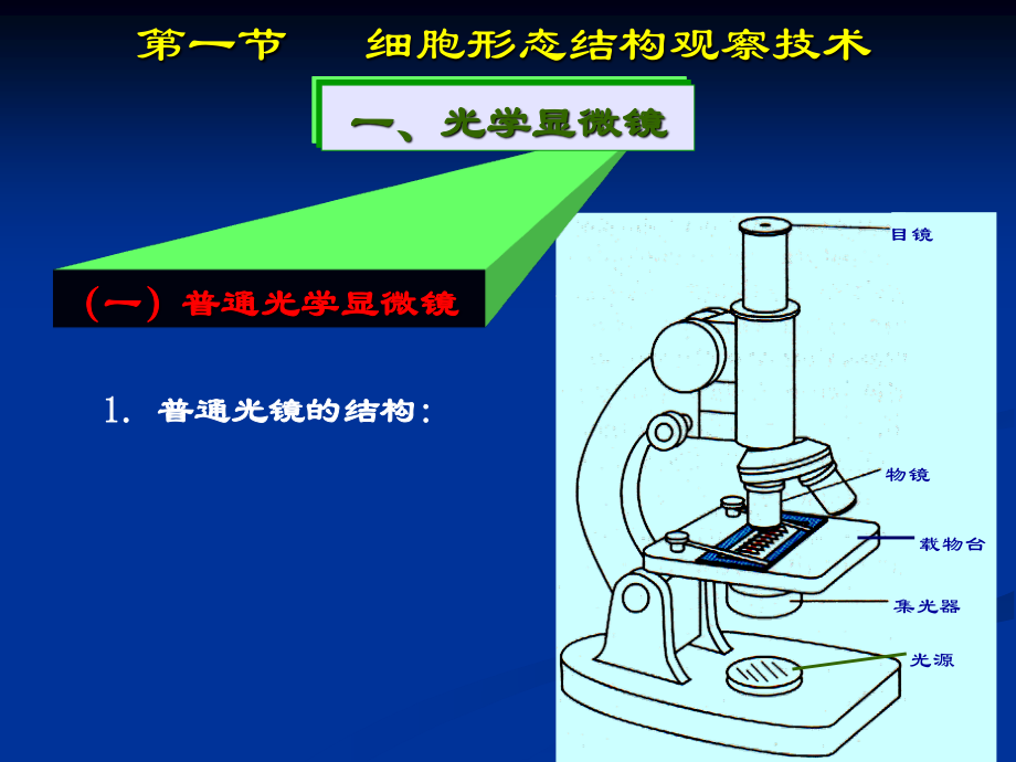 细胞培养常用技术.ppt_第3页