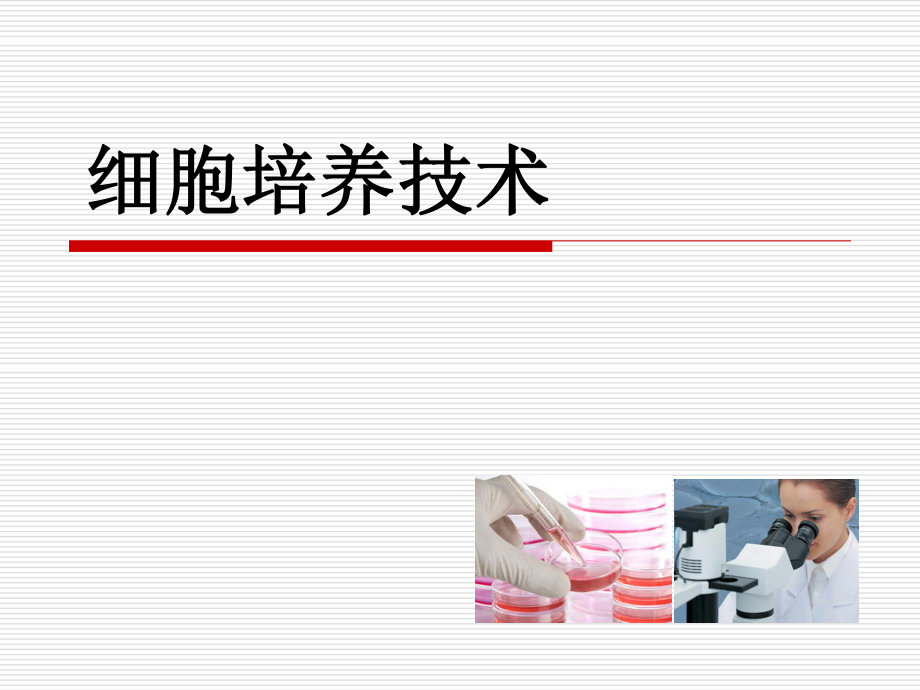 细胞培养技术.ppt_第1页