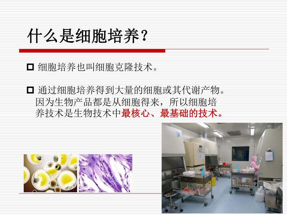 细胞培养技术.ppt_第2页