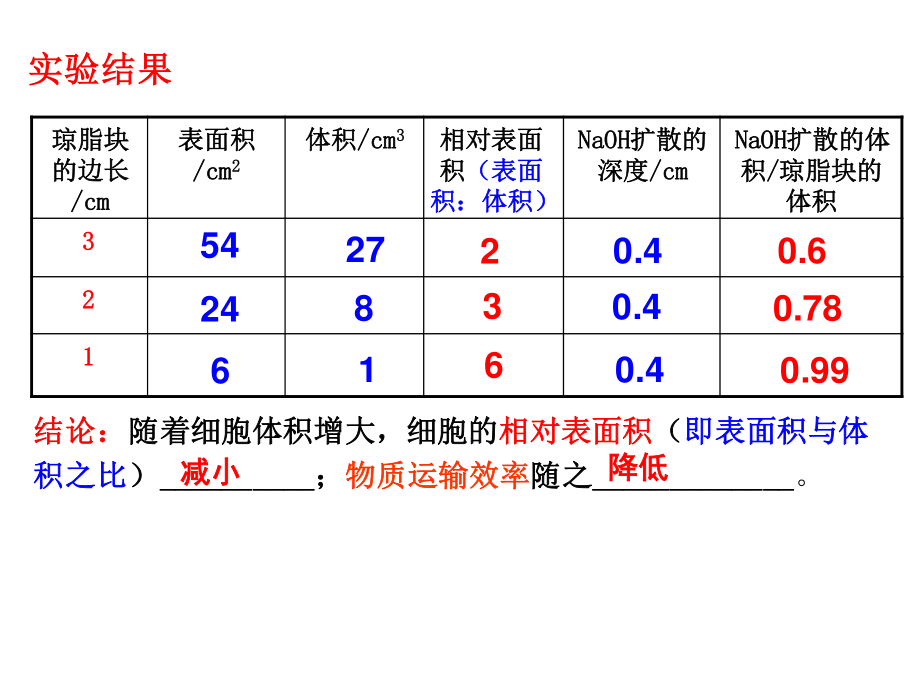 细胞的增殖一轮复习.ppt_第3页