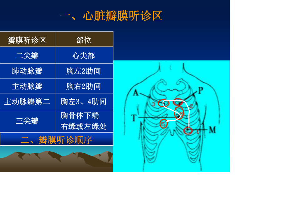 心脏检查2—心-脏-听-诊5学时.ppt_第3页