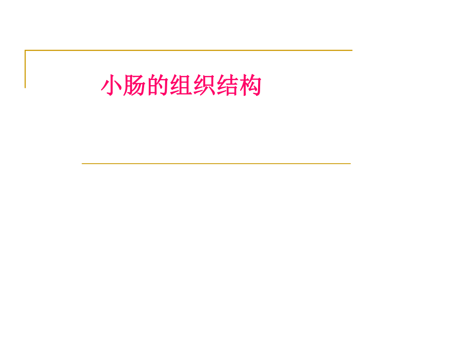 小肠的组织结构.ppt_第1页