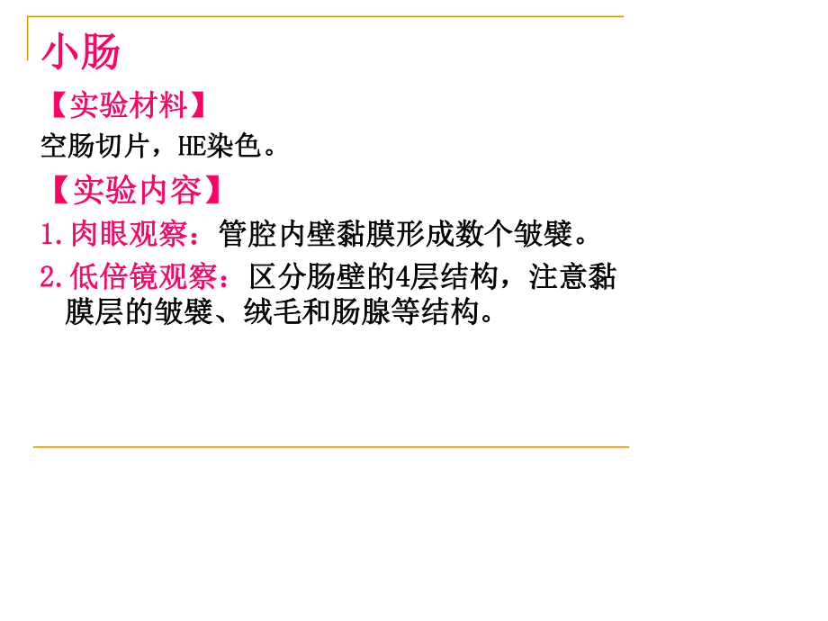 小肠的组织结构.ppt_第2页