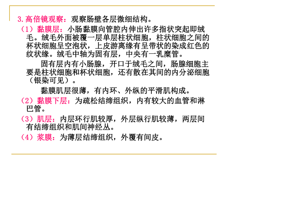 小肠的组织结构.ppt_第3页