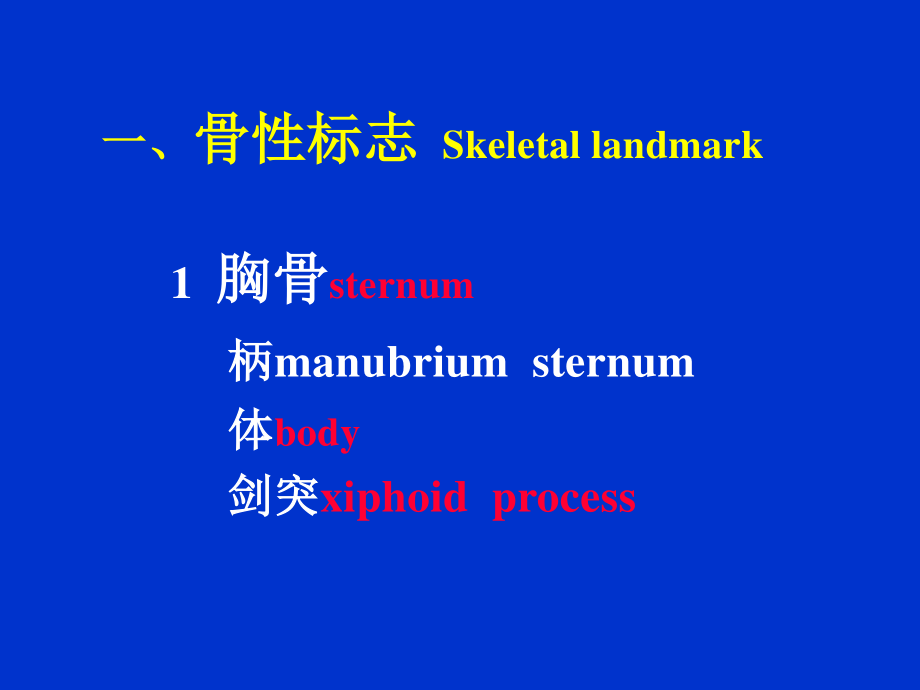 胸部检查—肺3(附件).ppt_第3页