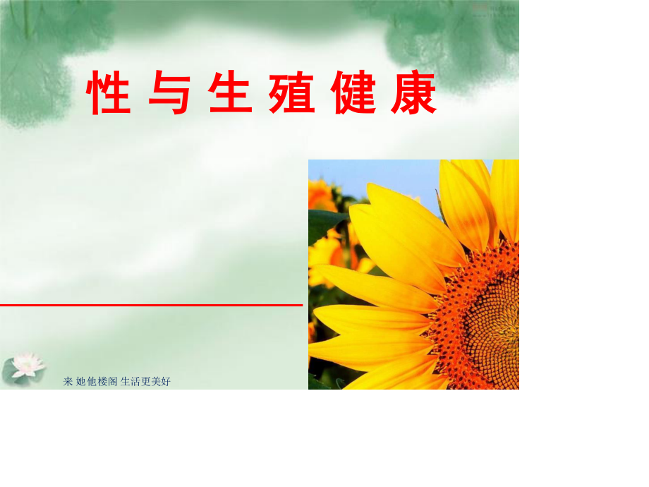 性与生殖健康.ppt_第1页