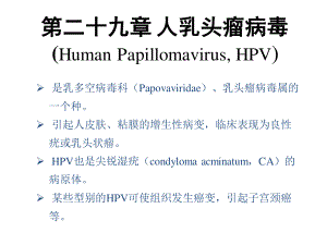 细胞朊蛋白.ppt