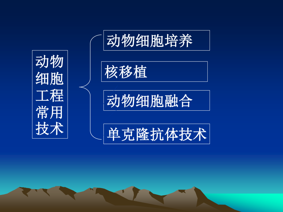 细胞工程PPT.ppt_第2页