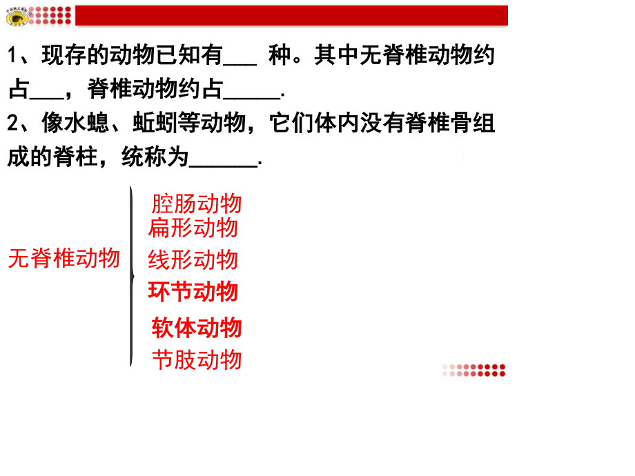 胸鳍腹鳍单鳍臀鳍尾鳍.ppt_第3页