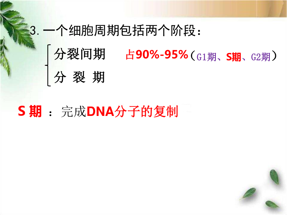 细胞增殖6.1-2.ppt_第3页