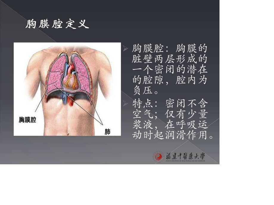 胸腹腔穿刺4.26资料.ppt_第3页