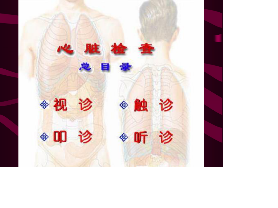 心脏检查-视触叩.ppt_第2页