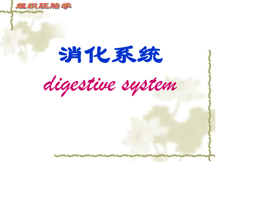 消化系统细微结构.ppt_第1页