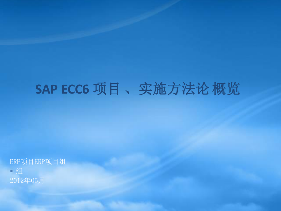 SAP-基本概念.pptx_第1页