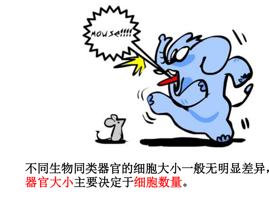 细胞的增殖(有动画).ppt_第3页