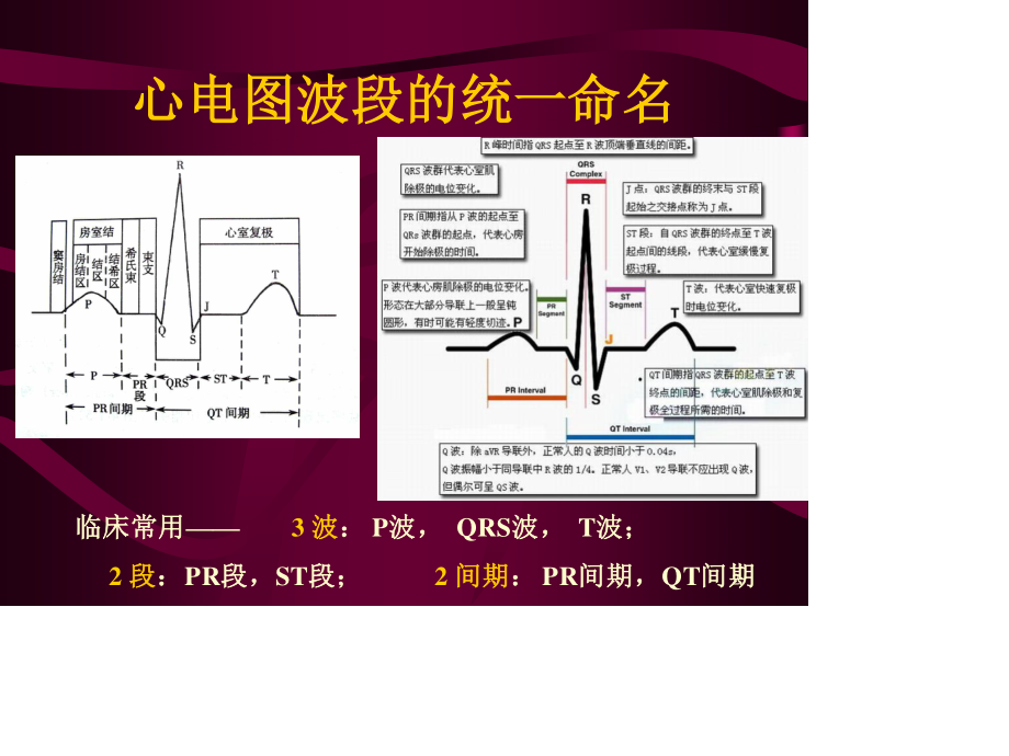 心电图-心电向量与心肌缺血.ppt_第1页