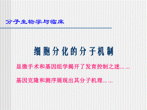 细胞分化分子机制.ppt