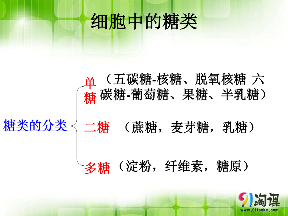 细胞中的无机物-(2).ppt_第1页