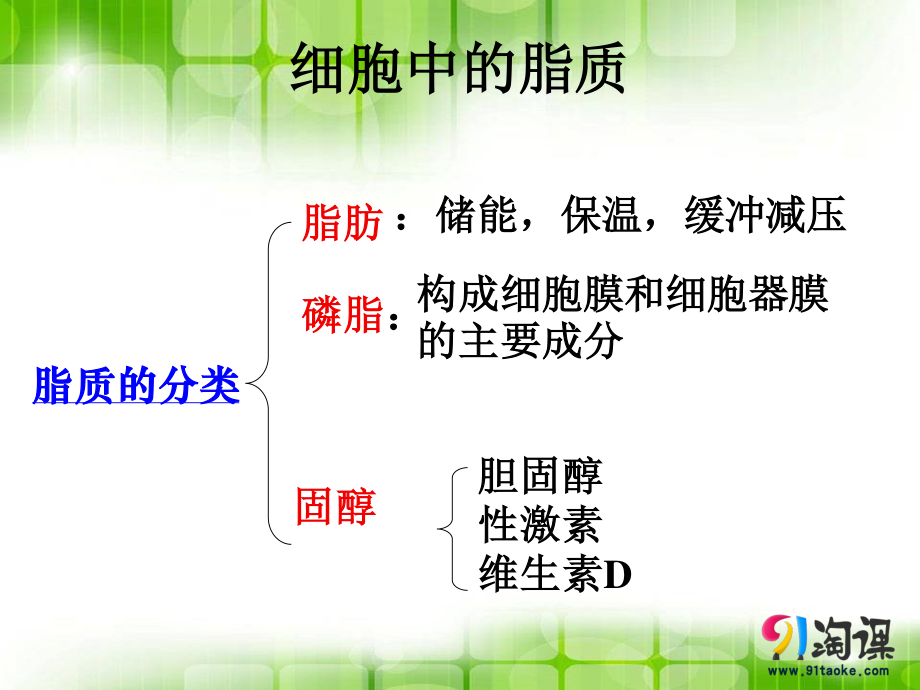 细胞中的无机物-(2).ppt_第2页