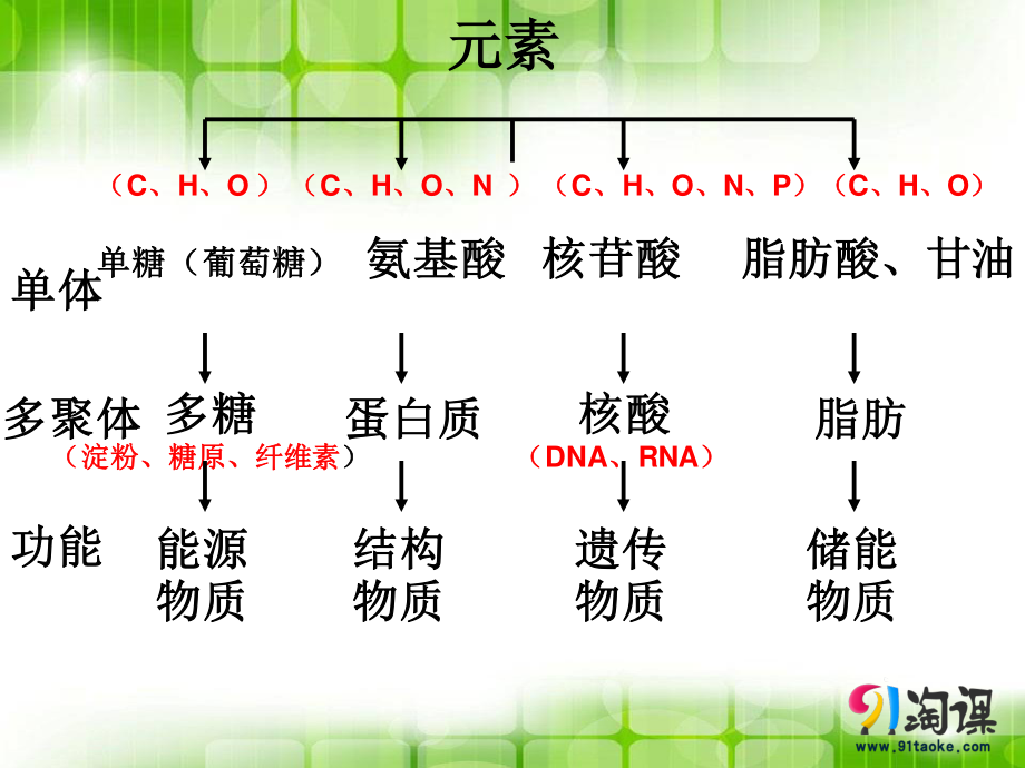 细胞中的无机物-(2).ppt_第3页