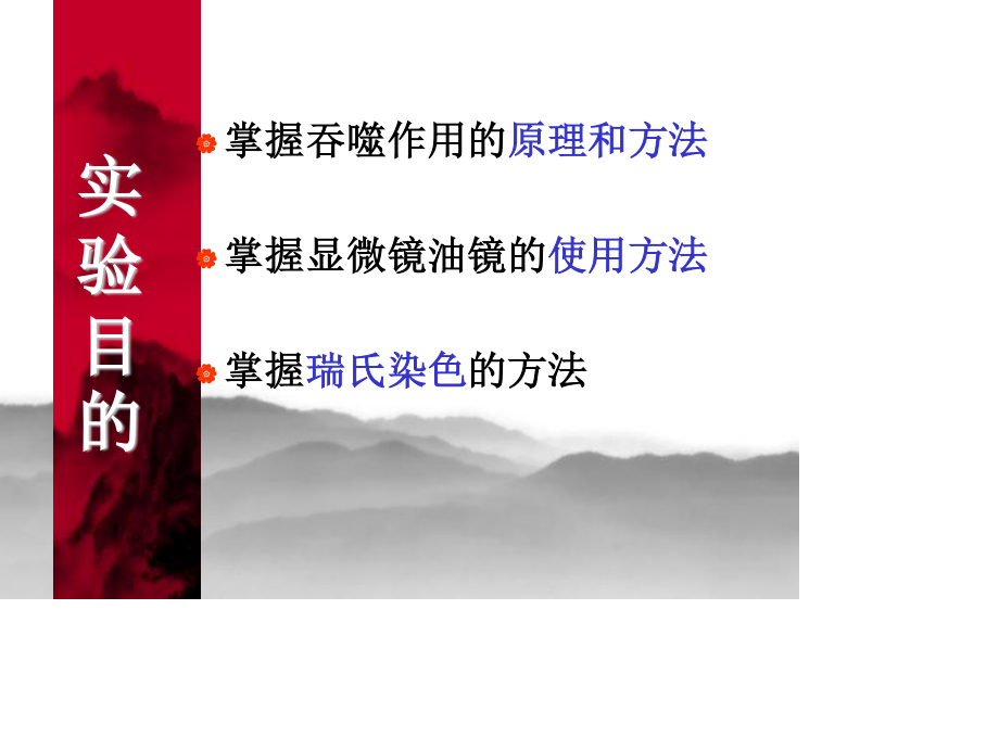 小吞噬细胞的吞噬功能检测.ppt_第2页