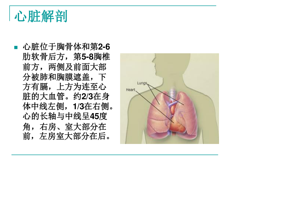 心脏检查(1).ppt_第2页