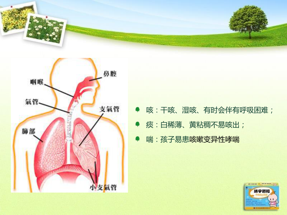 修正肺宁颗粒.ppt_第3页