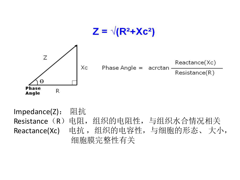 相位角及华法林在营养支持中的运用.pptx_第3页