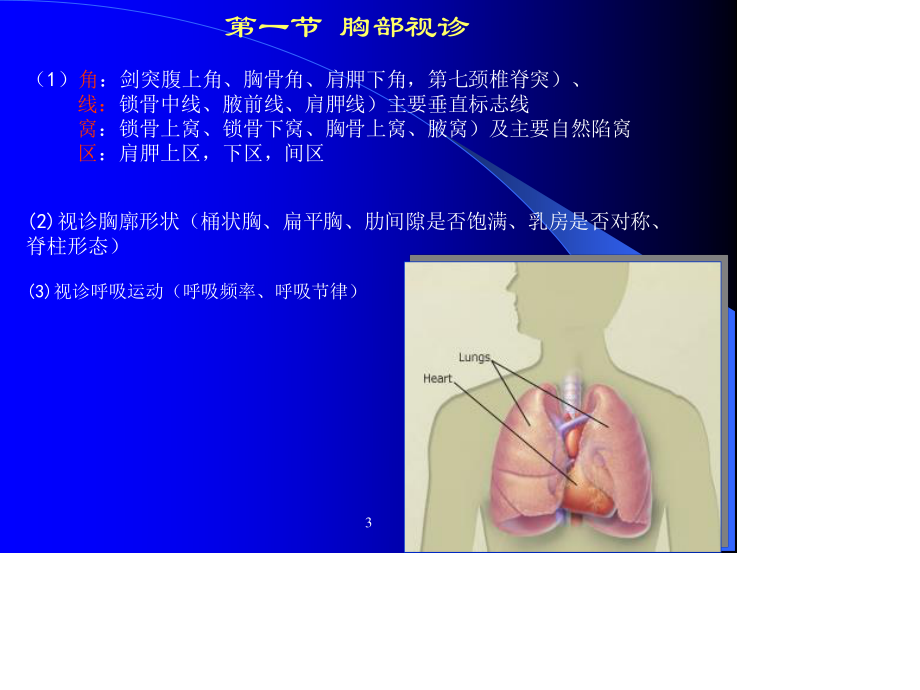 胸腹部体格检查.ppt_第3页