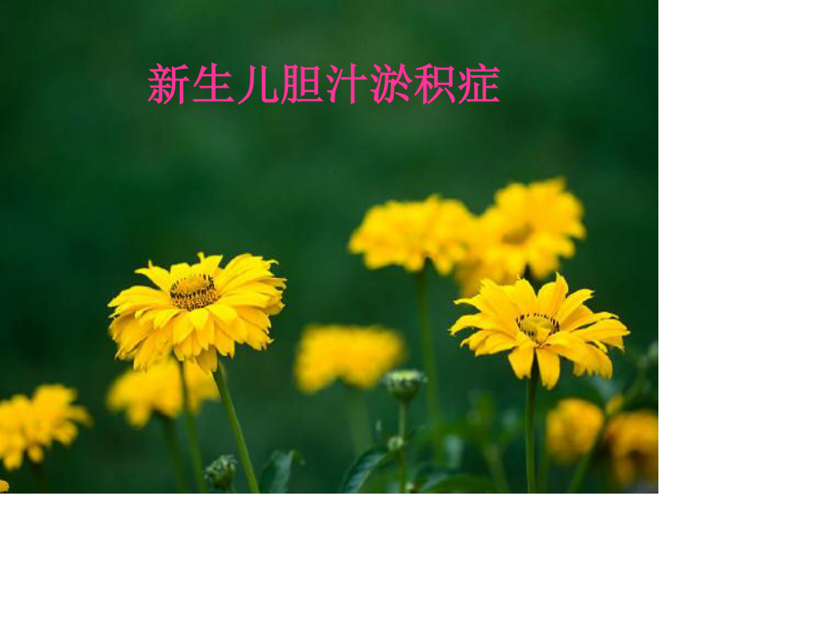 新生儿胆汁瘀积.ppt_第1页