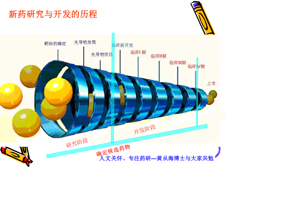 新药研发过程.ppt_第3页